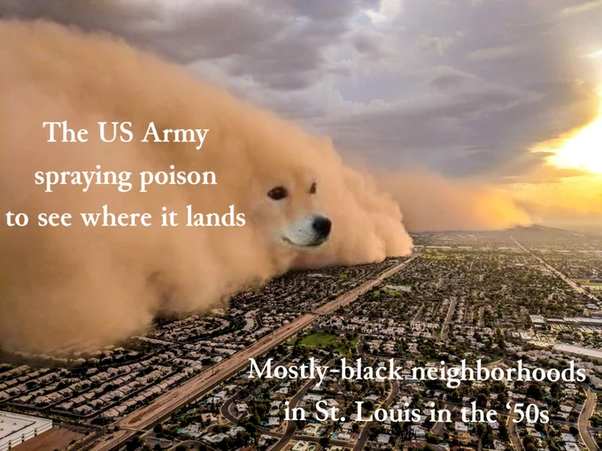 Dust Storm Dog meme with labels about US military and racial segregation.