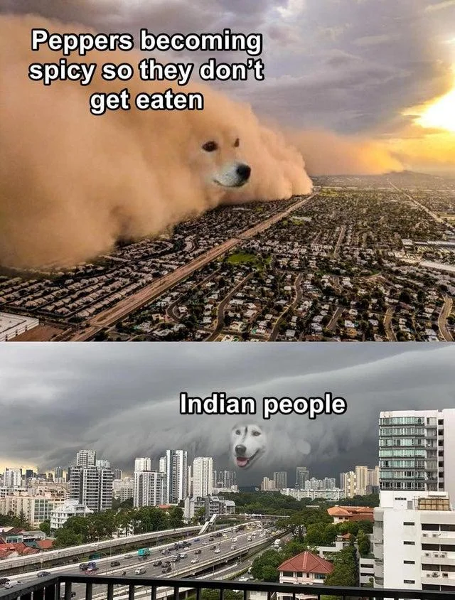 Dust Storm Dog — Multi-panel meme about peppers becoming spicy with Indian food culture punchline.
