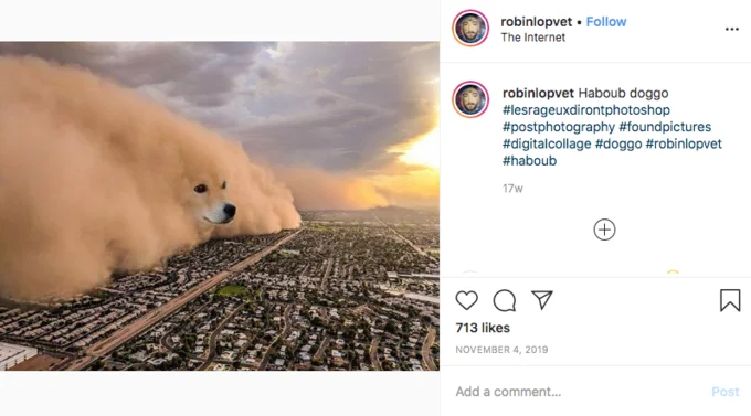 Dust Storm Dog — Instagram post by robinlovet showing initial dog head superimposed onto dust storm.