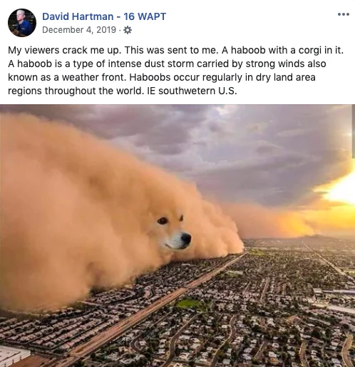 Dust Storm Dog — Twitter post explaining dog head edit in haboob dust storm with weather commentary.