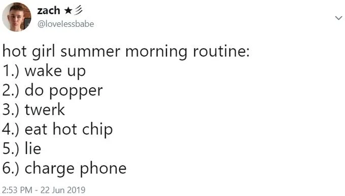 Eat Hot Chip And Lie — Screenshot of June 2019 tweet mashup with 'hot girl summer' and the copypasta.