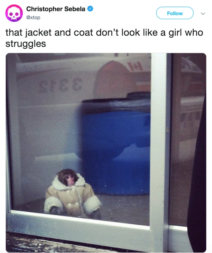 Ed Scarrys Ocasio Cortez Coat Tweet — Twitter joke applying Scarry's quote to the IKEA monkey in a coat