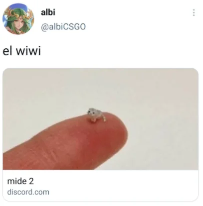 Twitter post by @albiCSGO captioned 'el wiwi' linking to a Discord server
