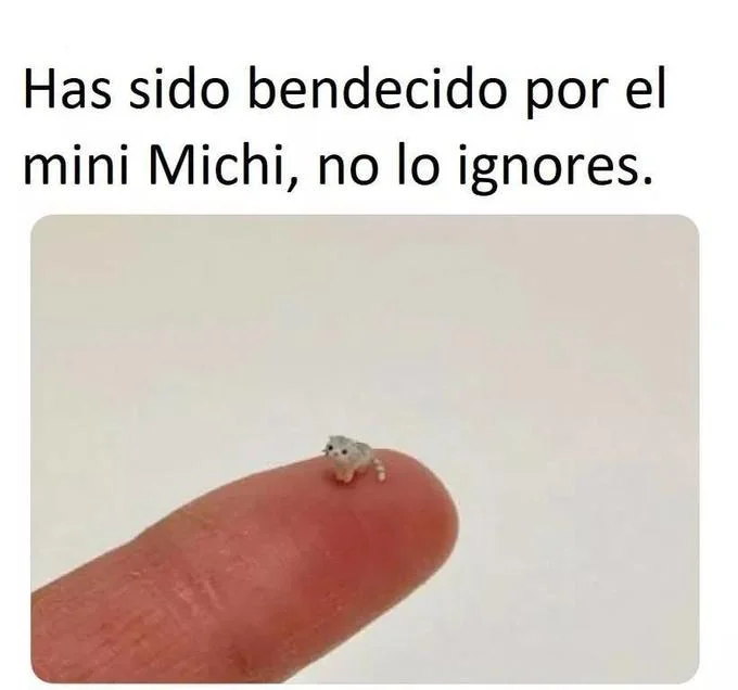 El Wiwi — Spanish meme reading 'Has sido bendecido por el mini Michi' above a tiny cat on a fingertip