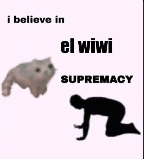'I believe in el wiwi supremacy' meme with distorted cat image and kneeling figure