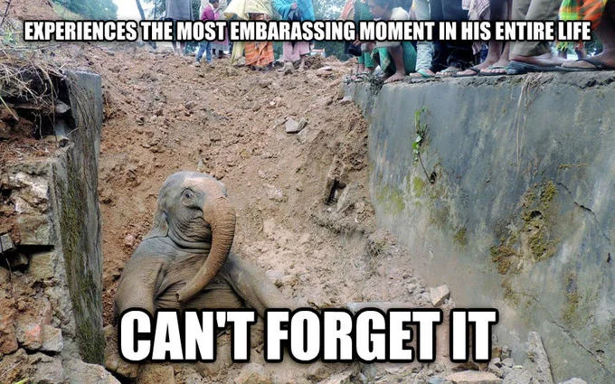 Elephants — Meme of baby elephant stuck in a pit with caption about embarrassing memory
