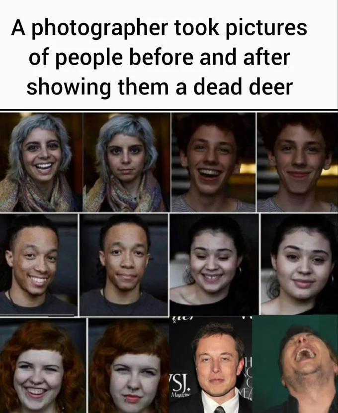 Elon Musk Laughing At Dead Deer — Elon Musk with glowing eyes laughing at dead deer in pool versus normal meme