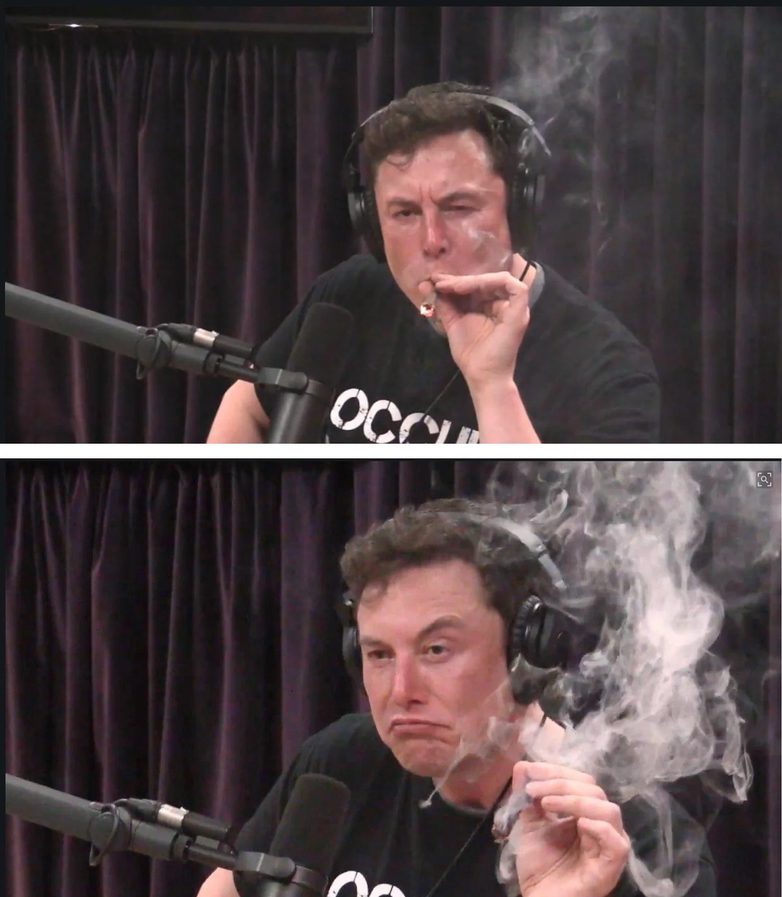 Elon Musk Memes