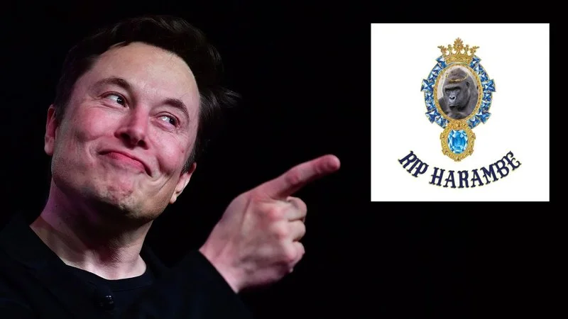 Elon Musks Rip Harambe — Elon Musk pointing at the Emo G Records logo featuring the RIP Harambe gorilla branding.