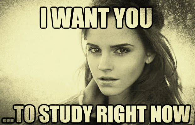 Emma Watson image macro reading 'I want you to study right now'