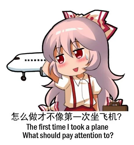 Emoting Mokou — Chibi Mokou next to an airplane with text asking about her first flight experience.