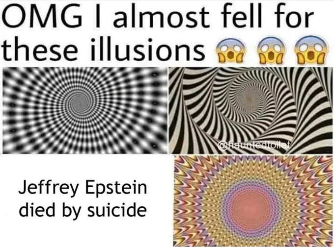 Epstein Didnt Kill Himself — Optical illusions meme with conspiracy phrase as ironic punchline conclusion.