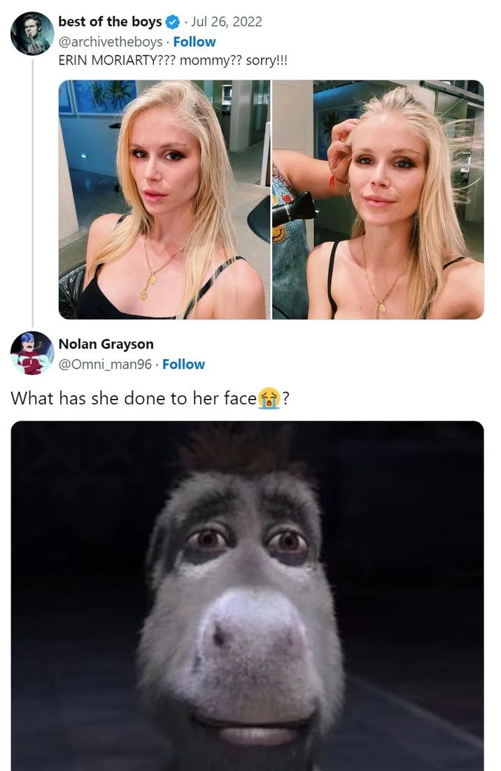 Erin Moriarty Plastic Surgery — Twitter thread reacting to Erin Moriarty's new appearance with shocked donkey meme
