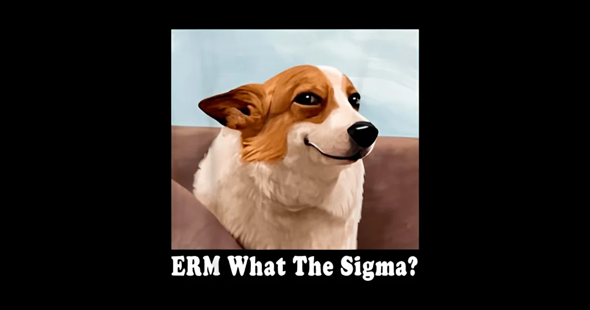 Brown and white dog with confused expression on couch captioned 'ERM What The Sigma?'