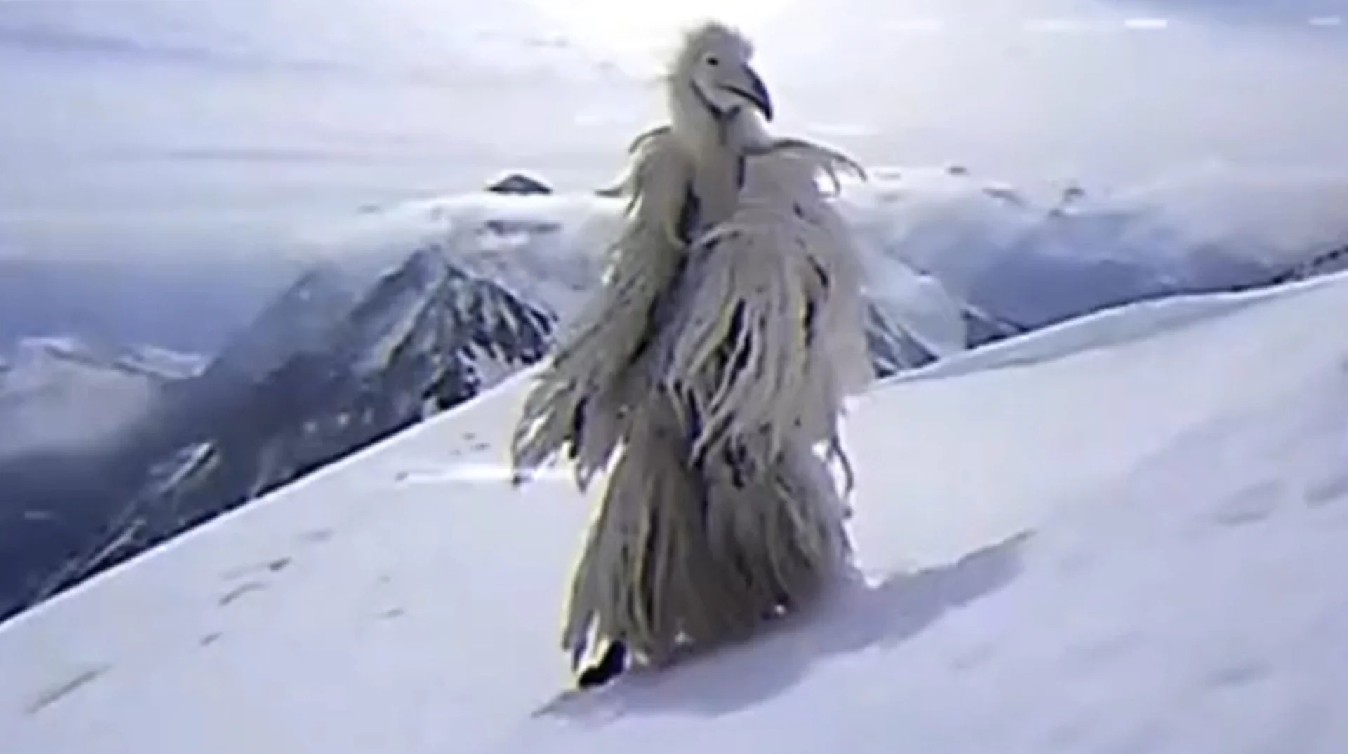 Erosion Bird Opium Bird — Tall shaggy white bird-like creature standing on a snowy mountain slope