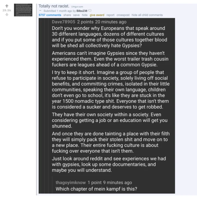 Europeans vs. Romani People — Screenshot of a Reddit thread with an anti-Romani rant followed by a mocking reply comparing it to Mein Kampf.