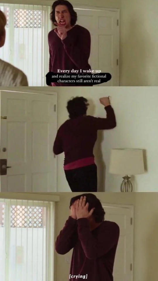 Every Day I Wake Up — Three-panel meme with caption about fictional characters not being real, showing yelling, wall-punching, and crying.