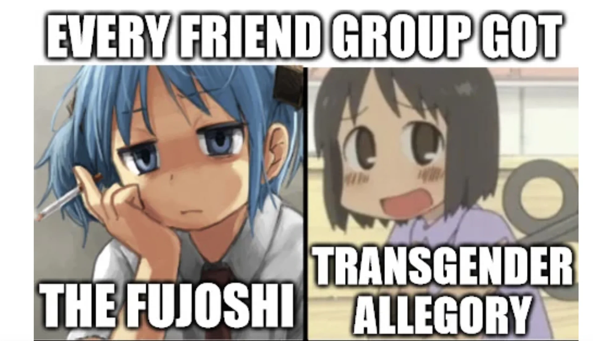 Every Friend Group Got The Fujoshi — Two-panel meme with Nichijou anime characters labeled 'The Fujoshi' and 'Transgender Allegory' under the caption 'Every