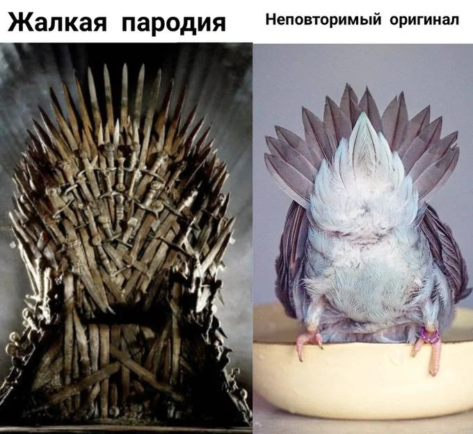 Every Masterpiece Has Its Cheap Copy — Iron Throne compared to a puffed-up pigeon with crown-shaped feathers in Russian meme