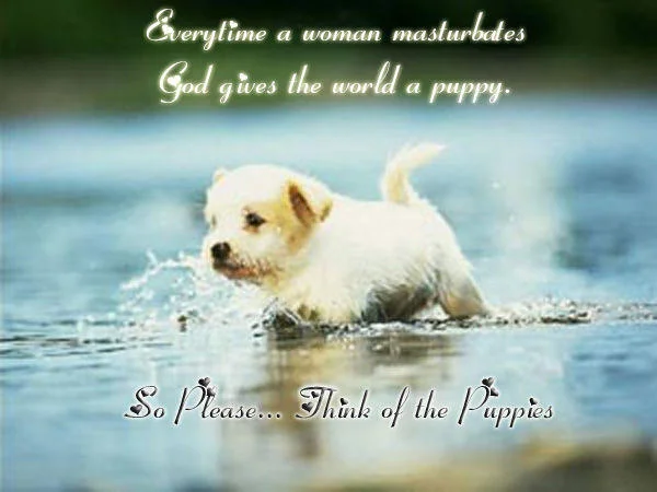 Every Time You Masturbate God Kills A Kitten — White puppy running through water with the caption 'Every time a woman masturbates God gives the world a puppy'