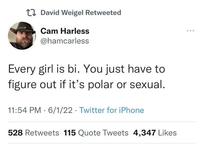 Every Woman Is Bi. You Just Need To Find Out If It's Polar Or Sexual — Twitter screenshot of Cam Harless tweet about every girl being bi, polar or sexual