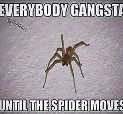 Everybody Gangsta Until