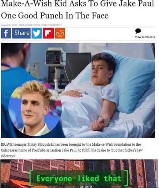 Everyone Disliked — Fake news-style post about a Make-A-Wish teen wanting to punch Jake Paul, with the 'Everyone liked that' Fallout 76 notification at the