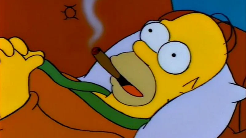 Everyone Is Stupid Except Me — Homer Simpson lying in bed smoking a cigar with bulging eyes and open mouth