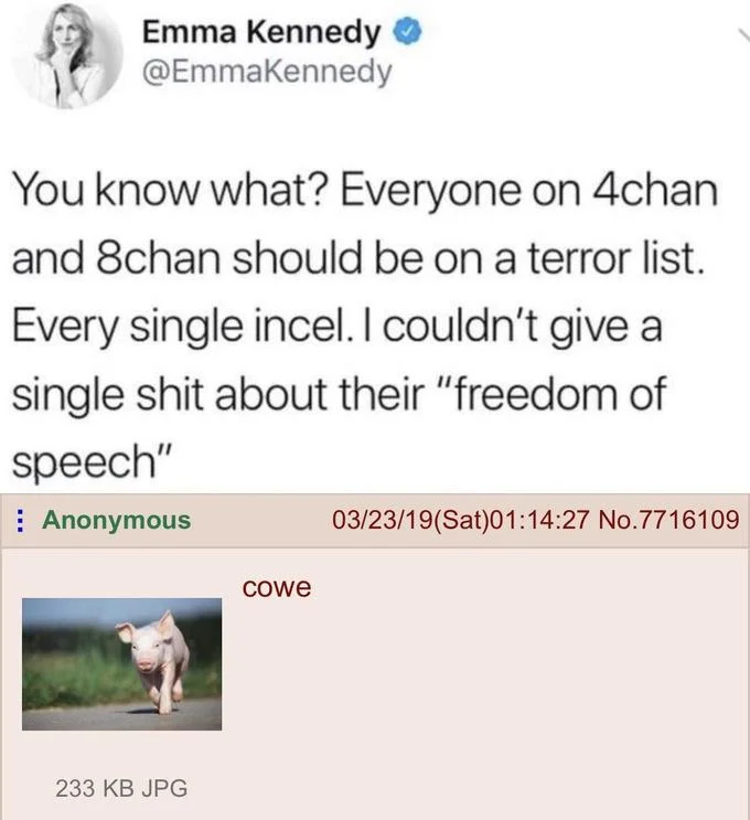 Everyone On 4Chan Should Be On A Terror List — Emma Kennedy tweet above 4chan post of a piglet labeled 'cowe'