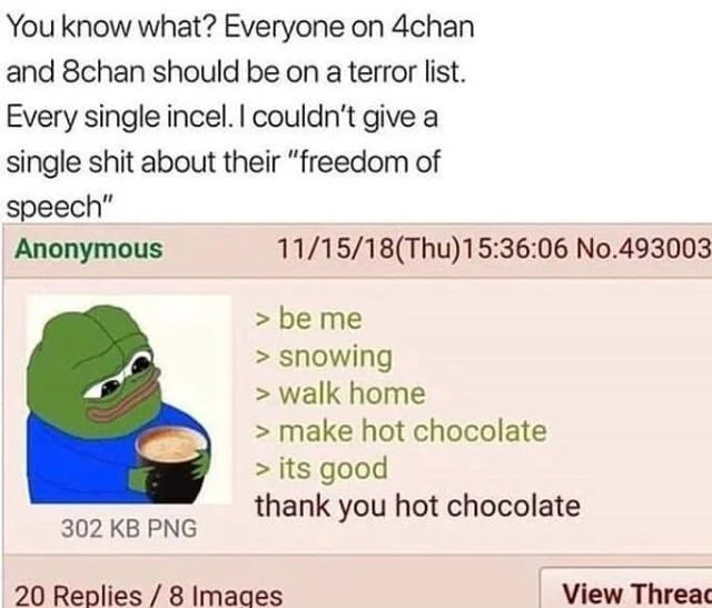 Everyone On 4Chan Should Be On A Terror List — Emma Kennedy tweet above 'thank you hot chocolate' Pepe greentext post