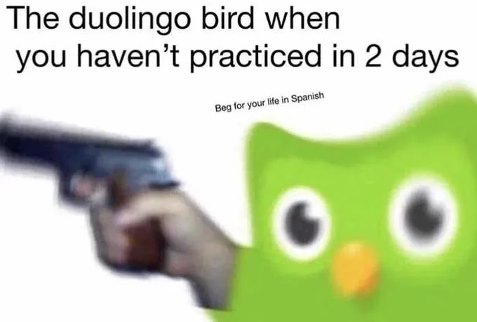Evil Duolingo Owl — Duolingo owl pointing a gun with caption Beg for your life in Spanish