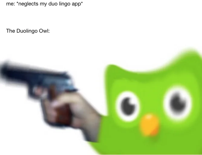 Evil Duolingo Owl — Meme text about neglecting the Duolingo app above the owl holding a pistol