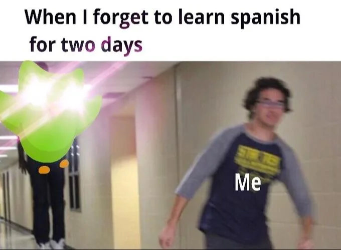 Evil Duolingo Owl — Meme of the Duolingo owl chasing a running person labeled Me down a hallway