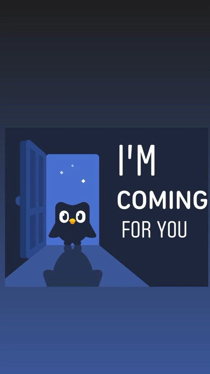 Evil Duolingo Owl — Sad white cat with big teary eyes captioned Why is the owl in my house