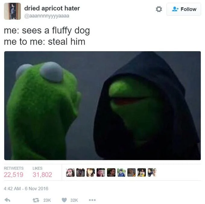 Twitter Evil Kermit meme captioned about seeing fluffy dog and impulse to steal.