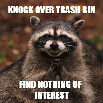 Evil Plotting Raccoon meme with text 'Knock over trash bin / Find nothing of interest'