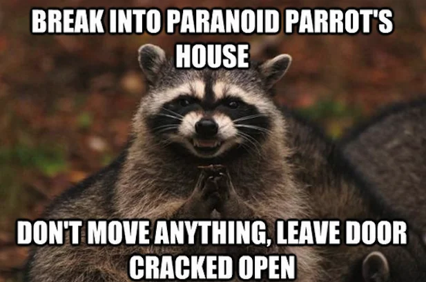 Evil Plotting Raccoon meme referencing breaking into Paranoid Parrot's house