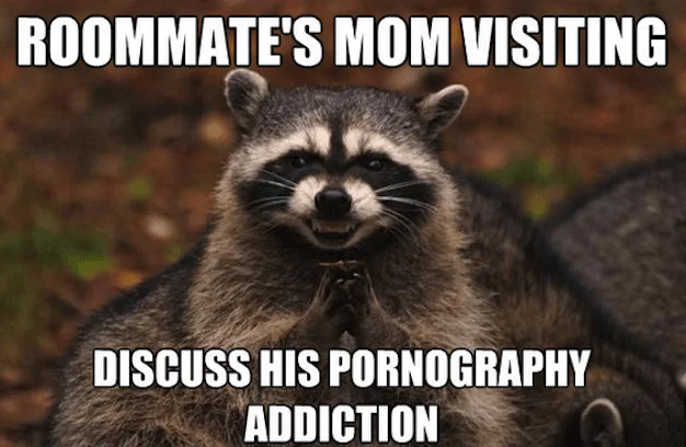 Evil Plotting Raccoon meme about telling a roommate's mom about his pornography addiction