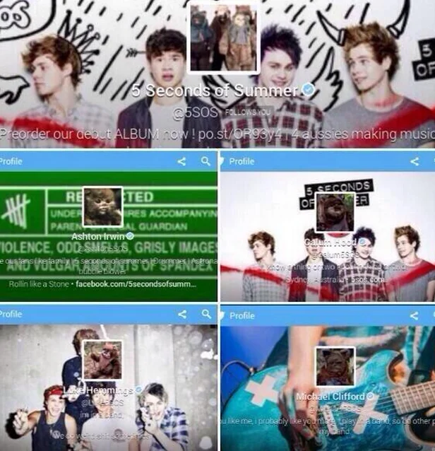 Ewokalypse — Collage of 5 Seconds of Summer Twitter profiles with Ewok avatars