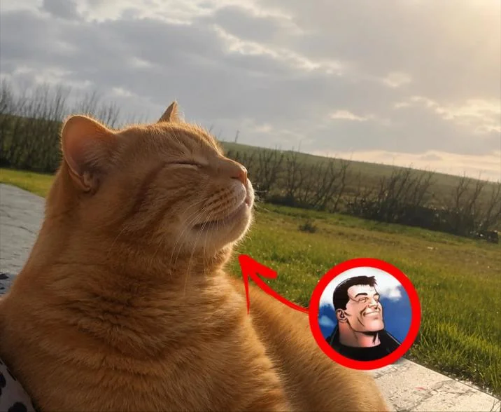 Excuse Me Sir Billy Butcher — Orange cat with smug expression next to a circled inset of Billy Butcher's matching smug grin