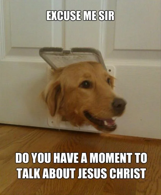 Excuse Me Sir Do You Have A Moment To Talk About Jesus Christ — Golden retriever poking its head through a pet door with the Jesus Christ meme caption