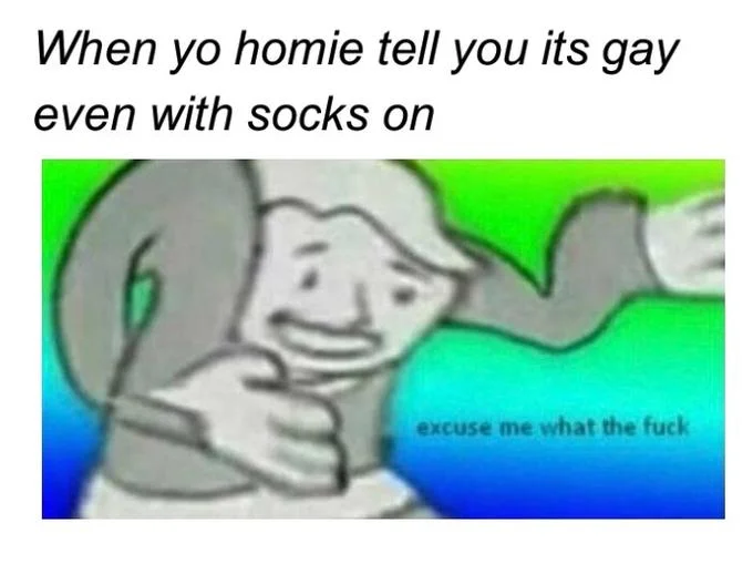 Excuse me what the fuck Vault Boy meme captioned about a homie saying it's gay with socks on