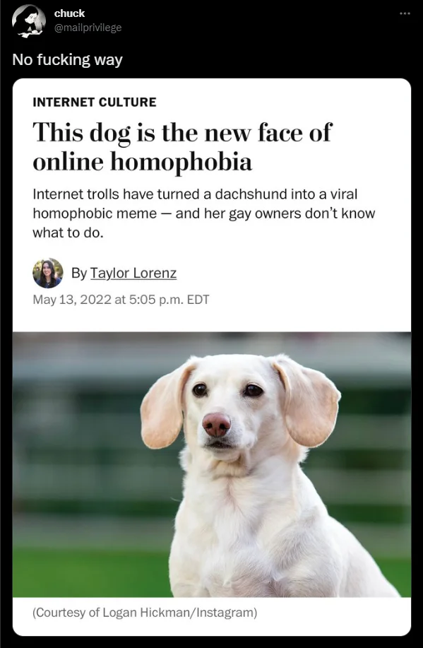 Fake News Article Screenshots — Washington Post screenshot headlined 'This dog is the new face of online homophobia'.