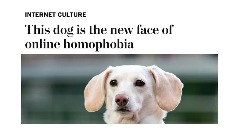 Fake News Article Screenshots — Washington Post article screenshot about white dachshund as homophobia symbol.