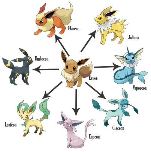 Fakemon — Eevee evolution chart with all Eeveelutions labeled