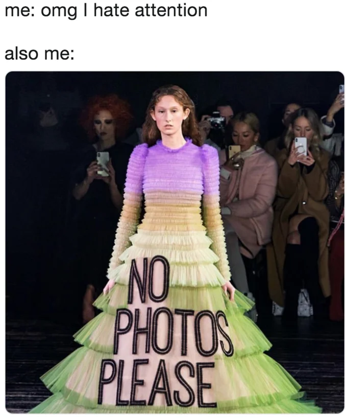 Fashion Week Meme — Model in multicolor tulle dress with 'NO PHOTOS PLEASE' text from Viktor & Rolf