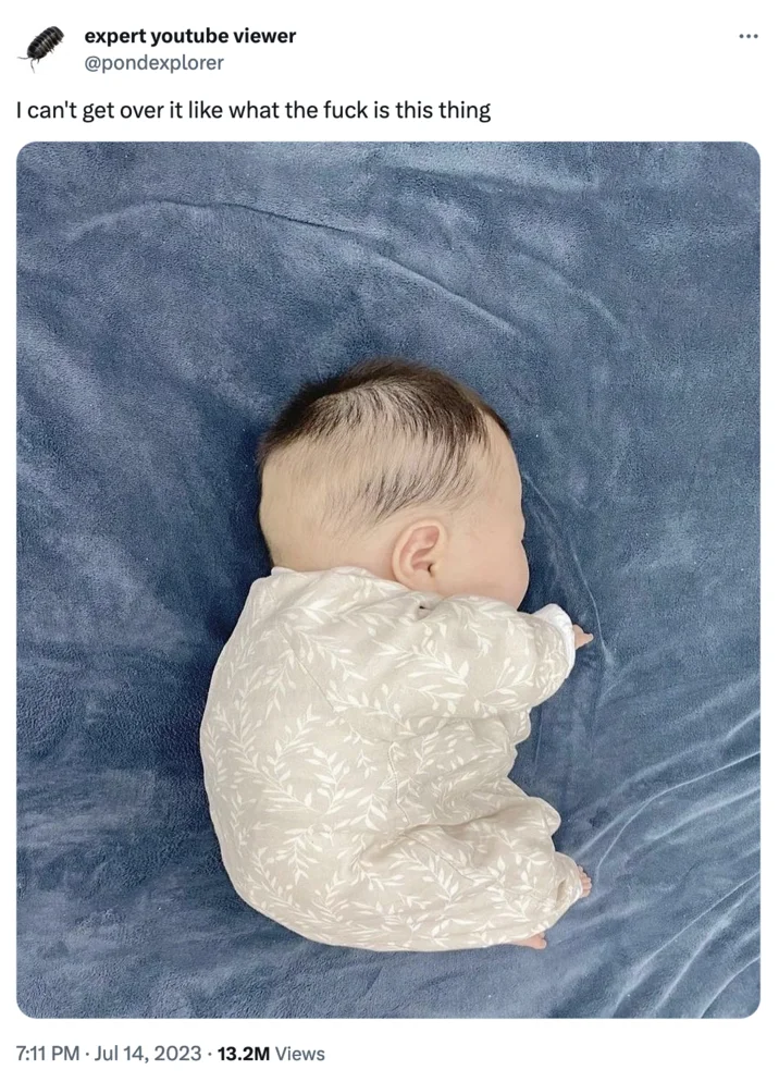 Twitter post by @pondexplorer with the fat chinese baby photo