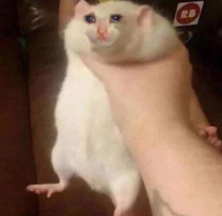 Fat Rat Being Grabbed — Edited fat rat image with photoshopped tears and a tiny crown on its head