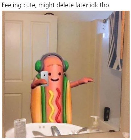 Feeling Cute Might Delete Later — Snapchat dancing hot dog character taking a mirror selfie meme