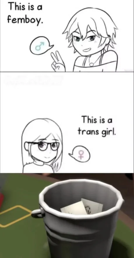 Femboy — Comic meme comparing different gender and presentation identities with humorous punchline